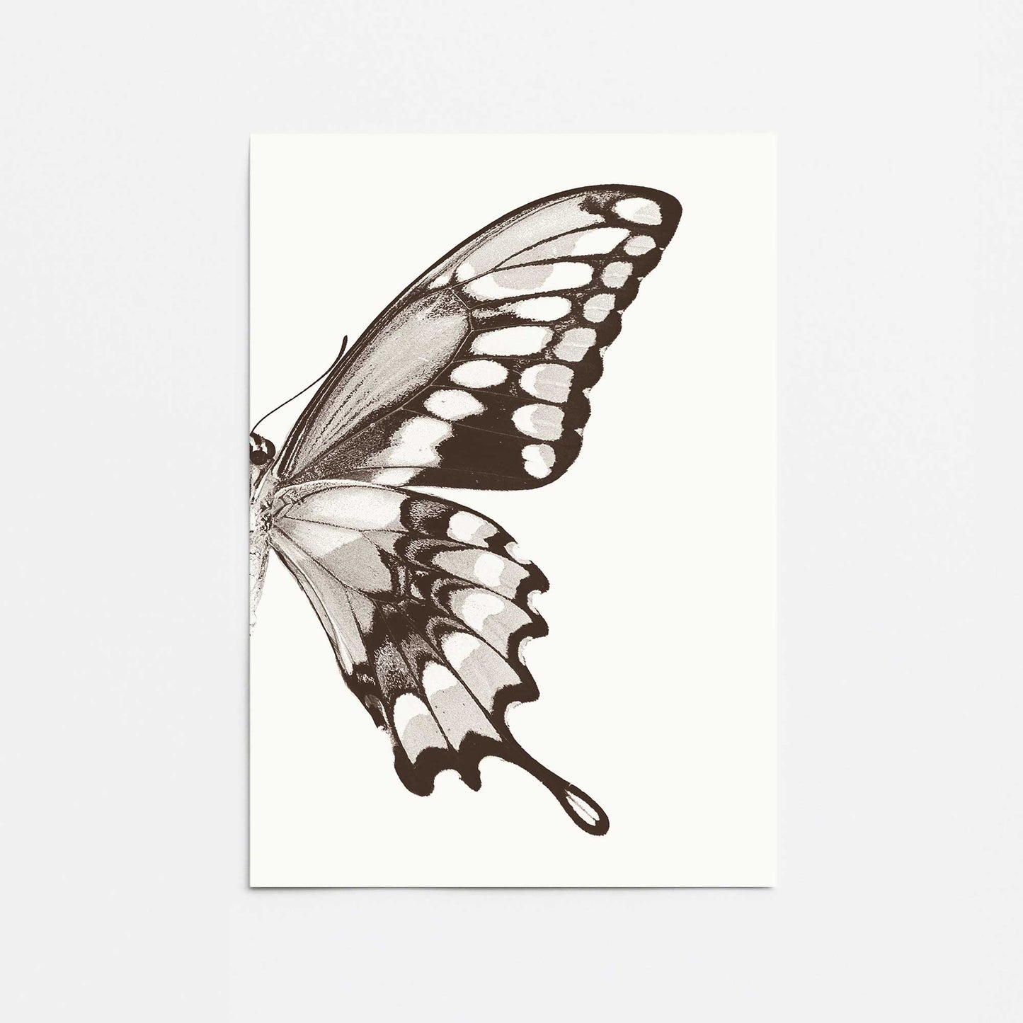 [Color:Rolled Print], Picture of close up of art