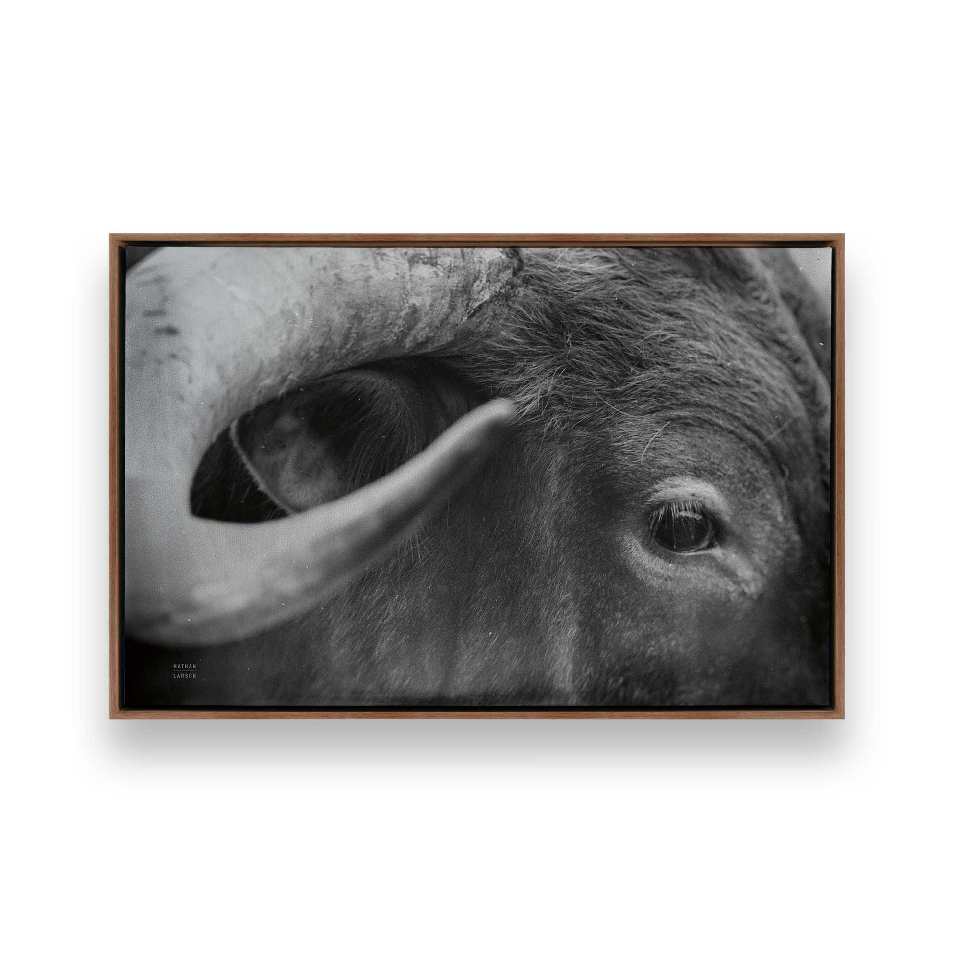 [Color:Walnut], Picture of art in a Walnut frame