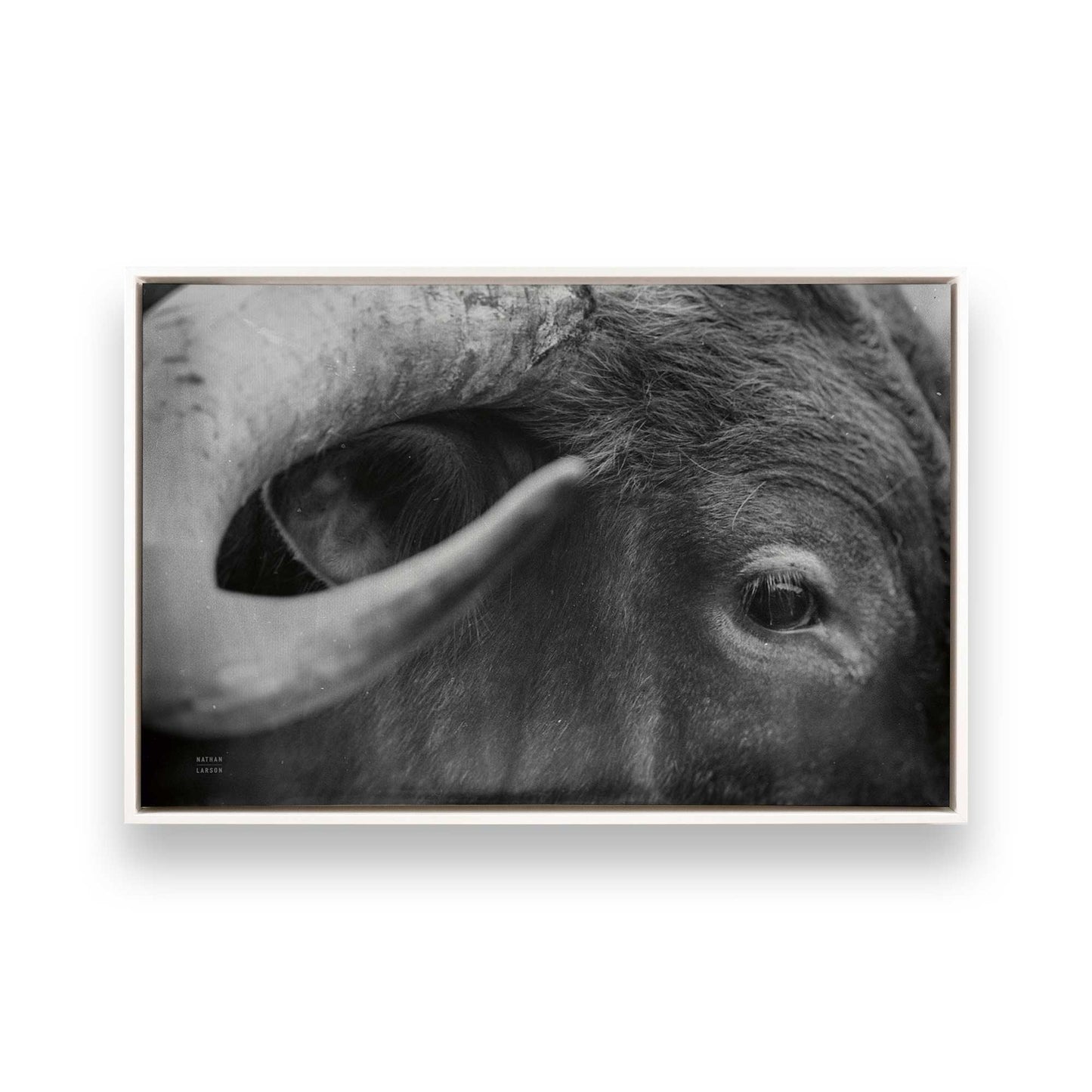 [Color:Opaque White], Picture of art in a White frame