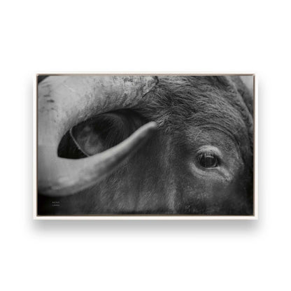 [Color:Opaque White], Picture of art in a White frame