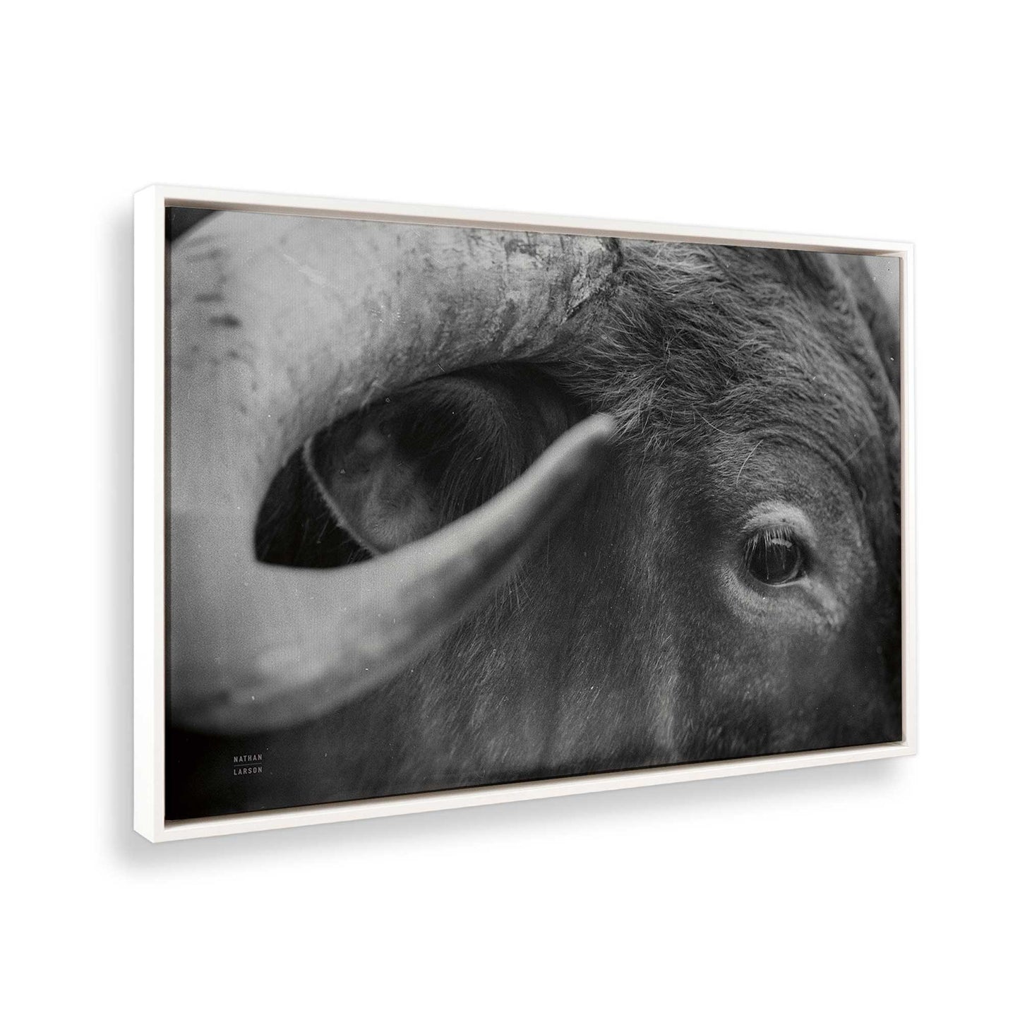 [Color:Opaque White], Picture of the corner of the art