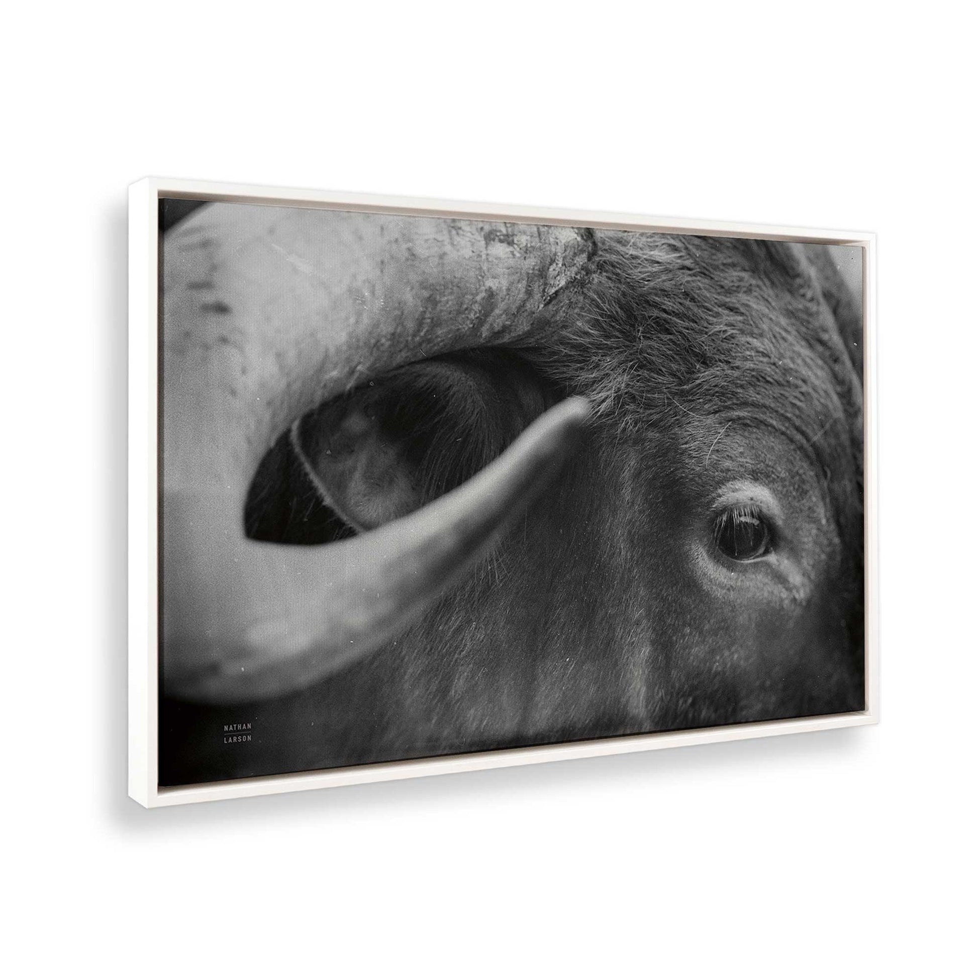 [Color:Opaque White], Picture of the corner of the art