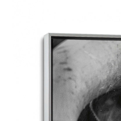 [Color:Polished Chrome], Picture of art in a Polished Chrome frame at an angle