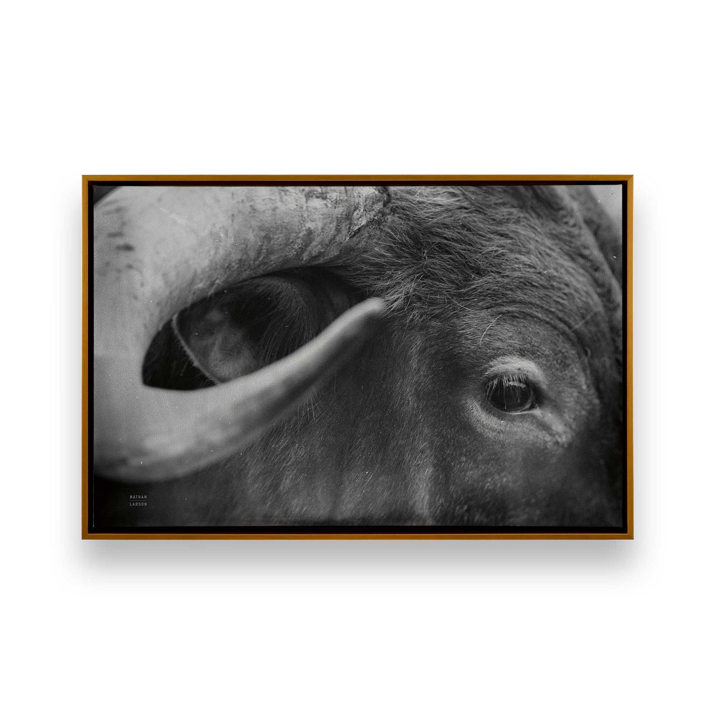 [Color:Polished Gold], Picture of art in a Polished Gold frame