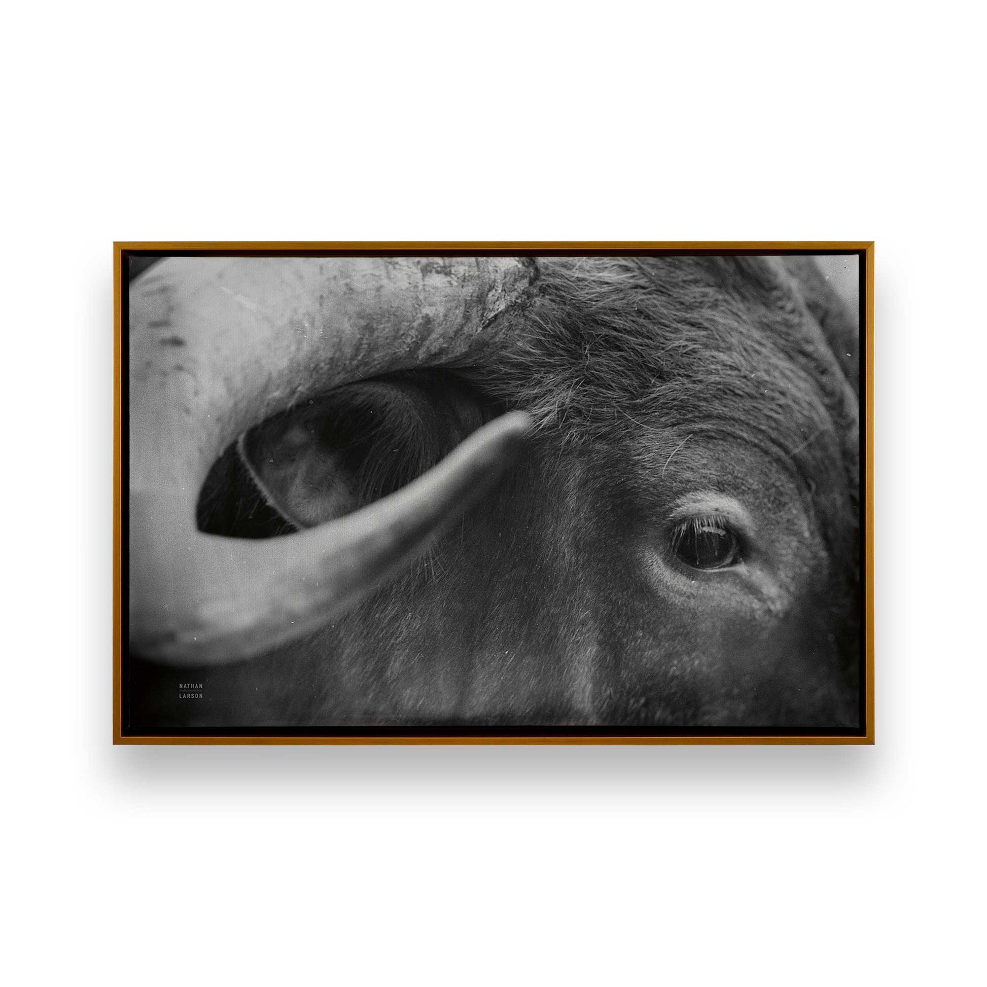 [Color:Polished Gold], Picture of art in a Polished Gold frame