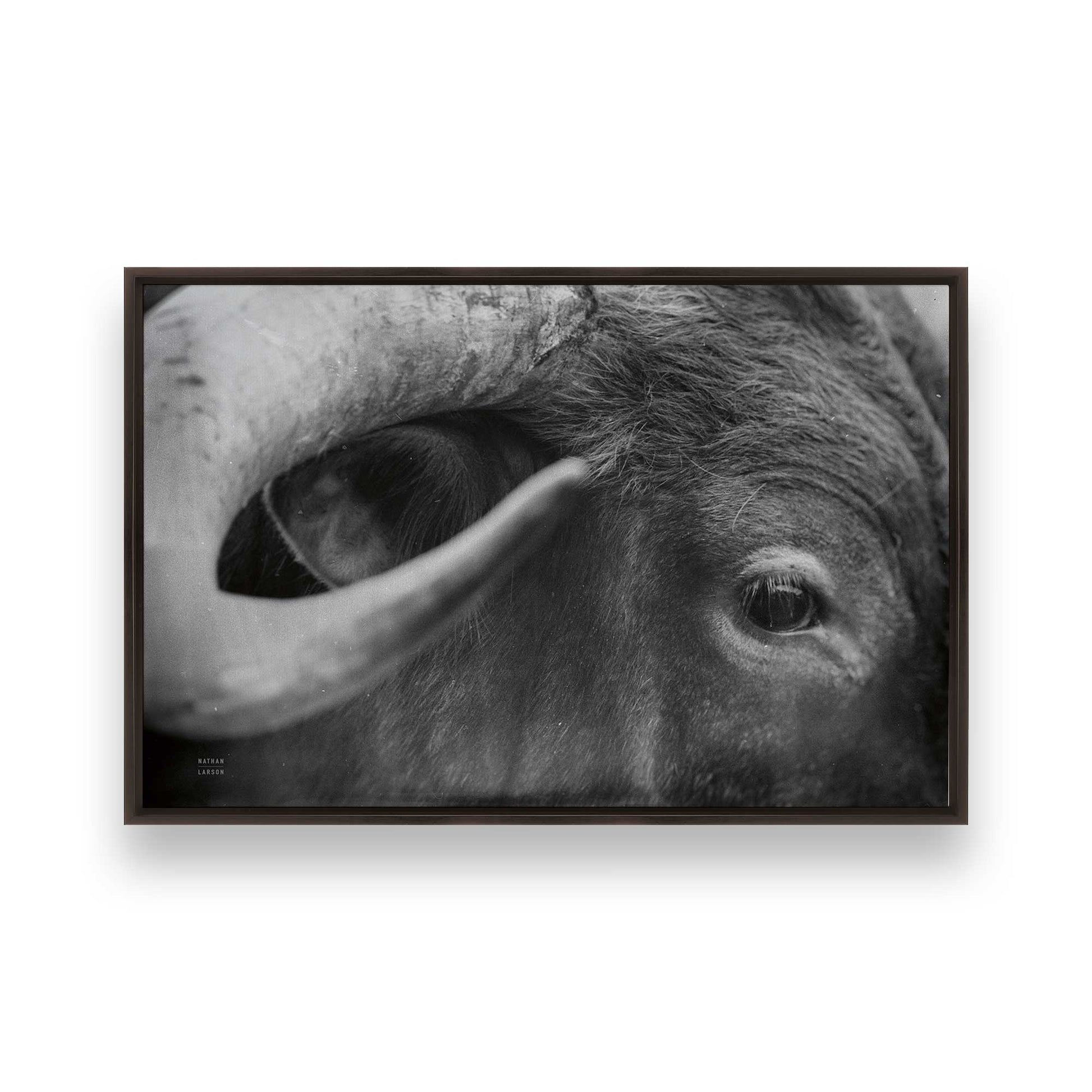 [Color:Espresso], Picture of art in a Espresso frame