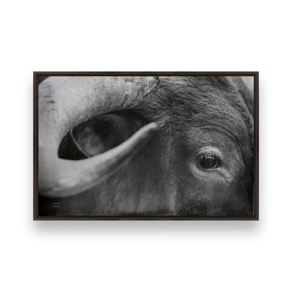 [Color:Espresso], Picture of art in a Espresso frame