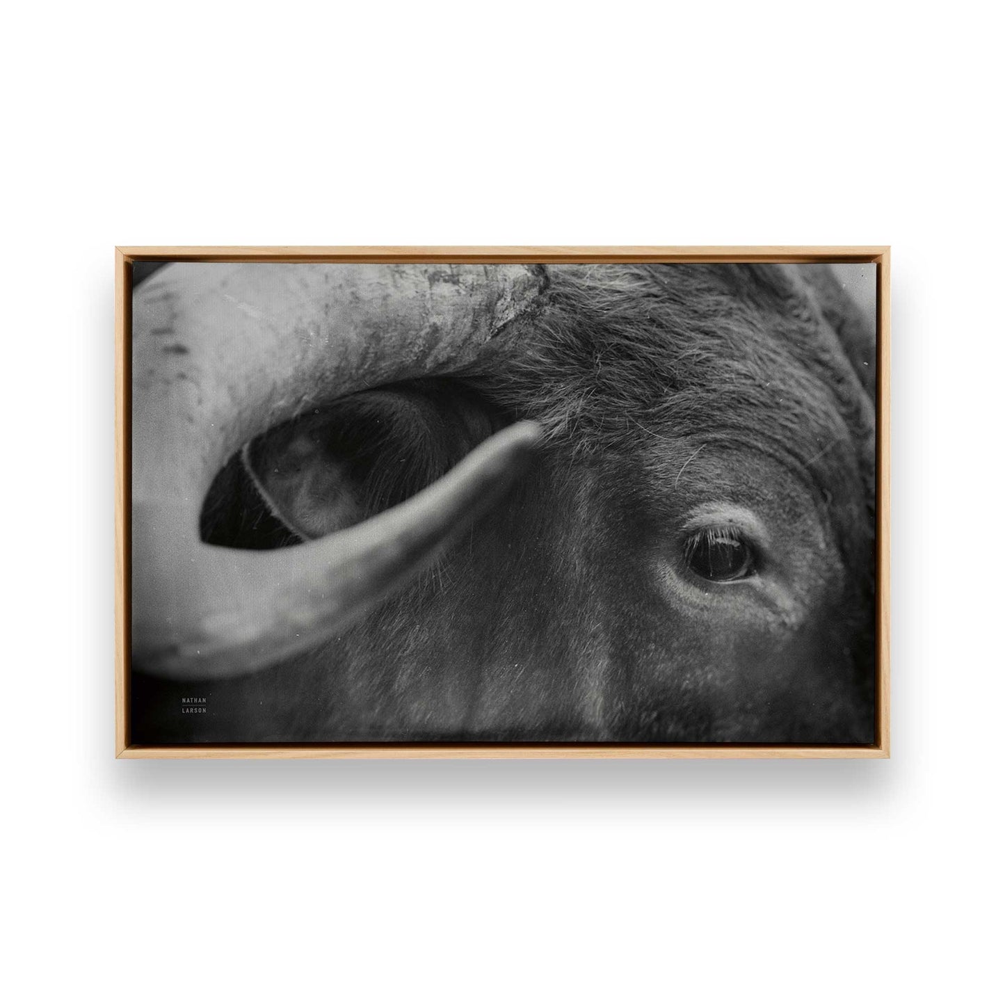 [Color:American Maple], Picture of art in a American Maple frame