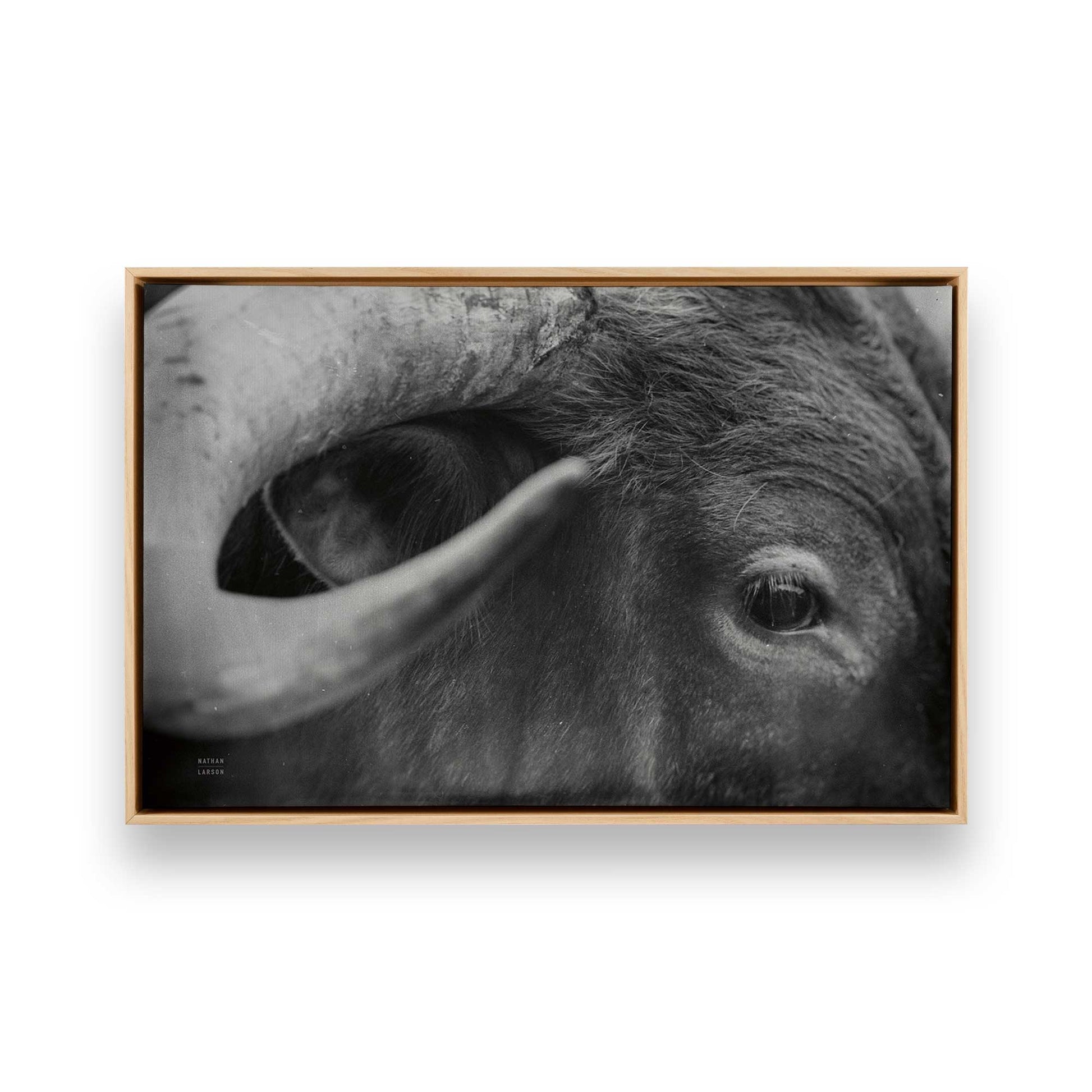 [Color:American Maple], Picture of art in a American Maple frame