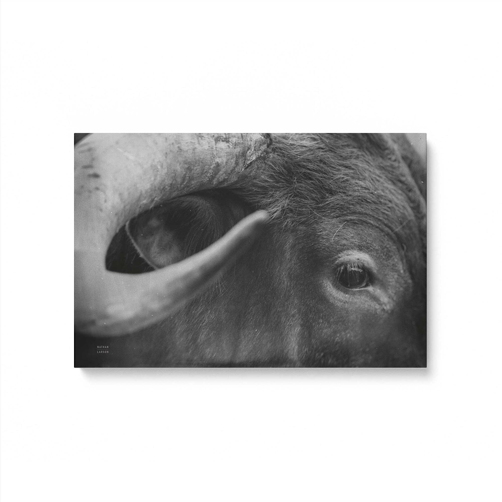 [Color:Stretched Canvas], Picture of art