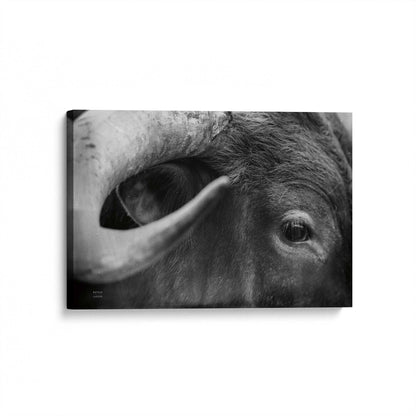 [Color:Stretched Canvas], Picture of art at an angle