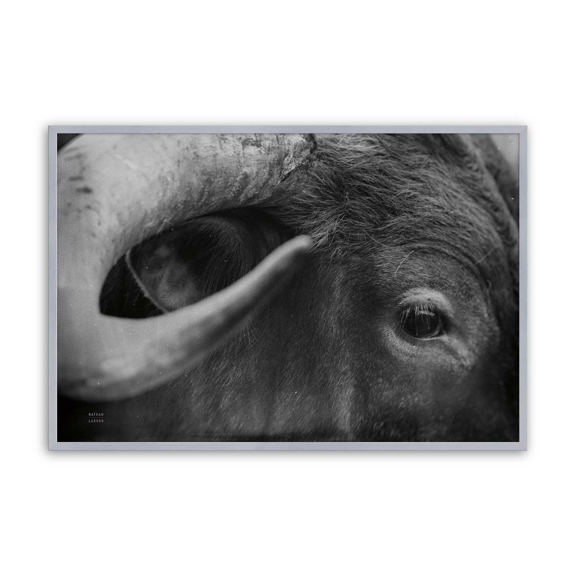 [Color:Polished Chrome], Picture of art in a Polished Chrome frame