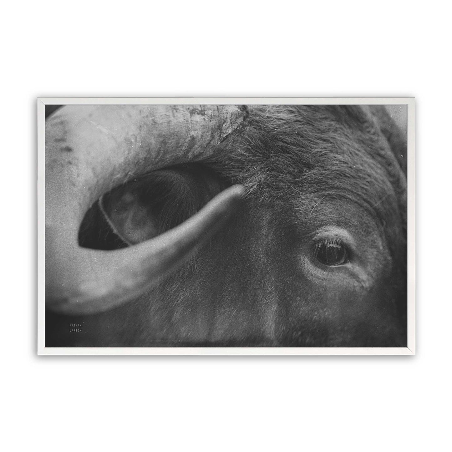 [Color:Opaque White], Picture of art in a Opaque White frame