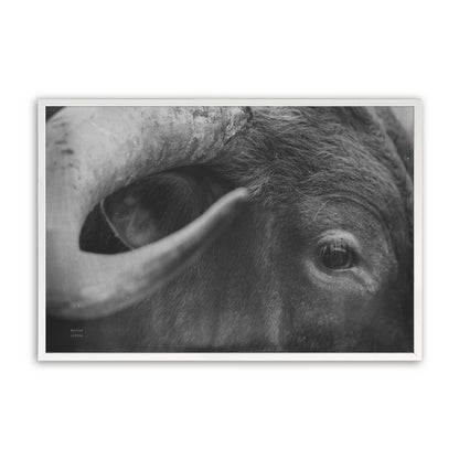 [Color:Opaque White], Picture of art in a Opaque White frame