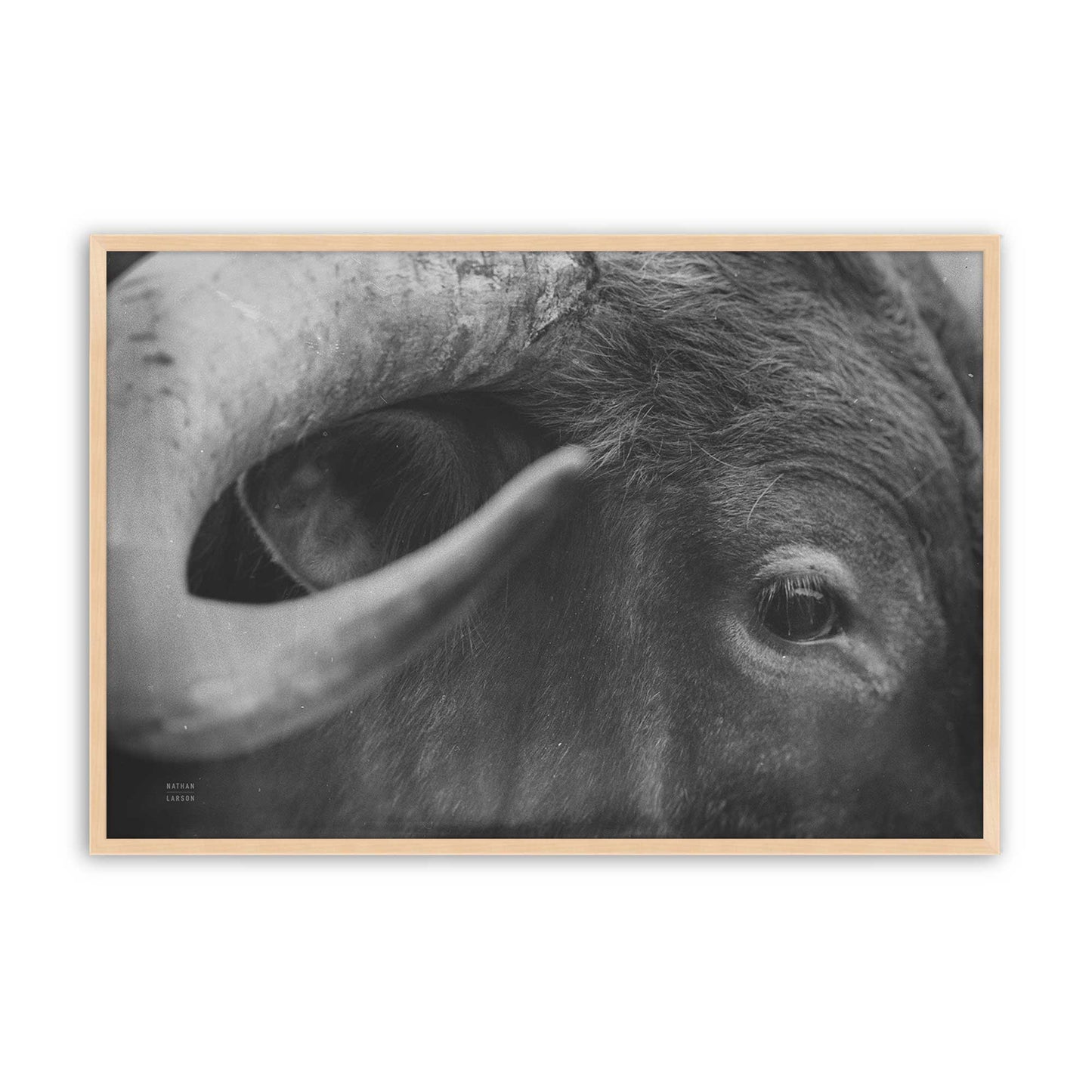 [Color:Raw Maple], Picture of art in a Raw Maple frame