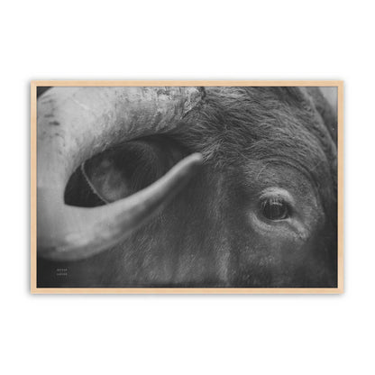 [Color:Raw Maple], Picture of art in a Raw Maple frame