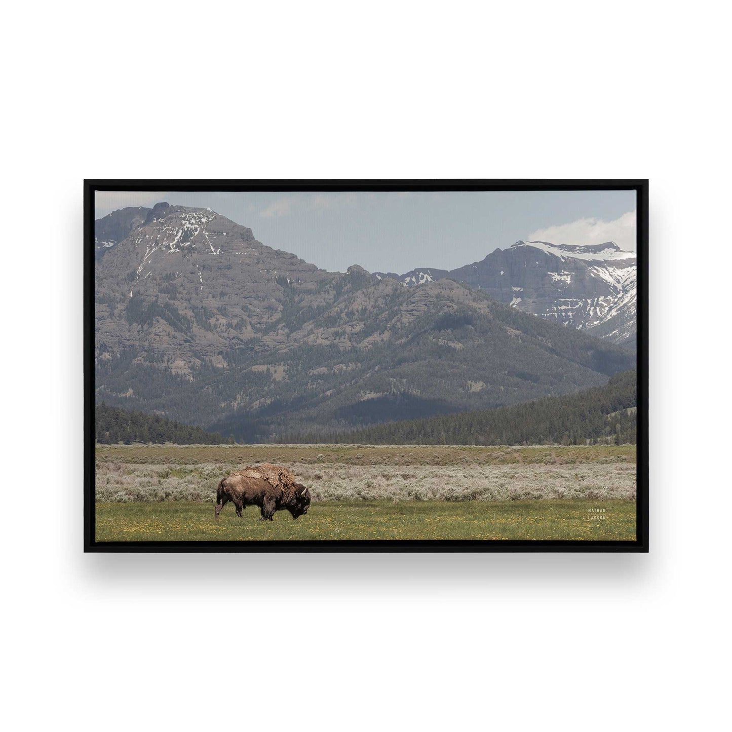 [Color:Satin Black], Picture of art in a Satin Black frame