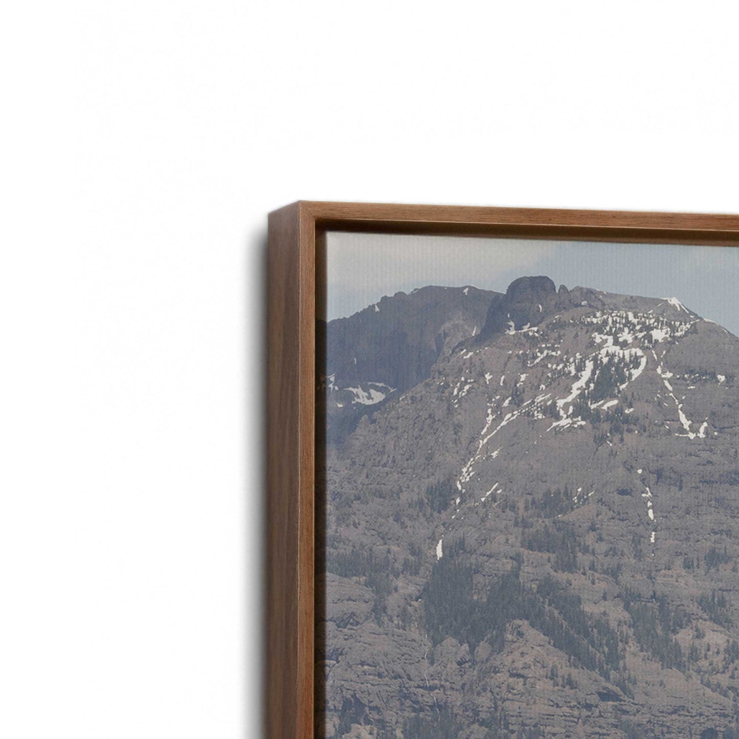 [Color:Walnut], Picture of art in a Walnut frame at an angle