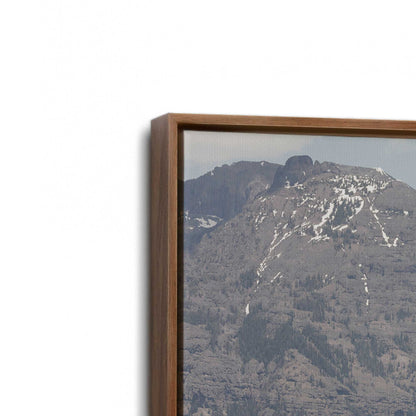 [Color:Walnut], Picture of art in a Walnut frame at an angle