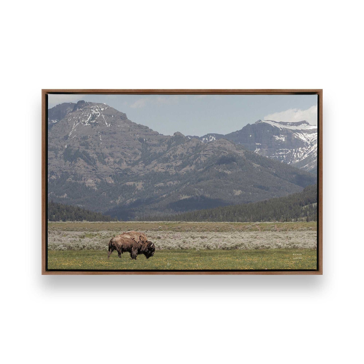 [Color:Walnut], Picture of art in a Walnut frame