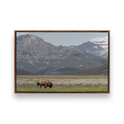 [Color:Walnut], Picture of art in a Walnut frame