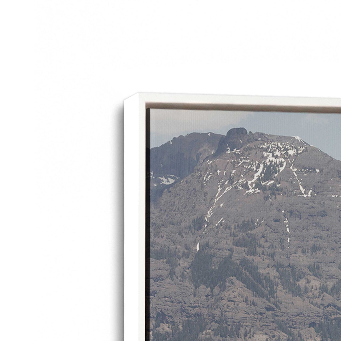 [Color:Opaque White], Picture of art in a White frame at an angle