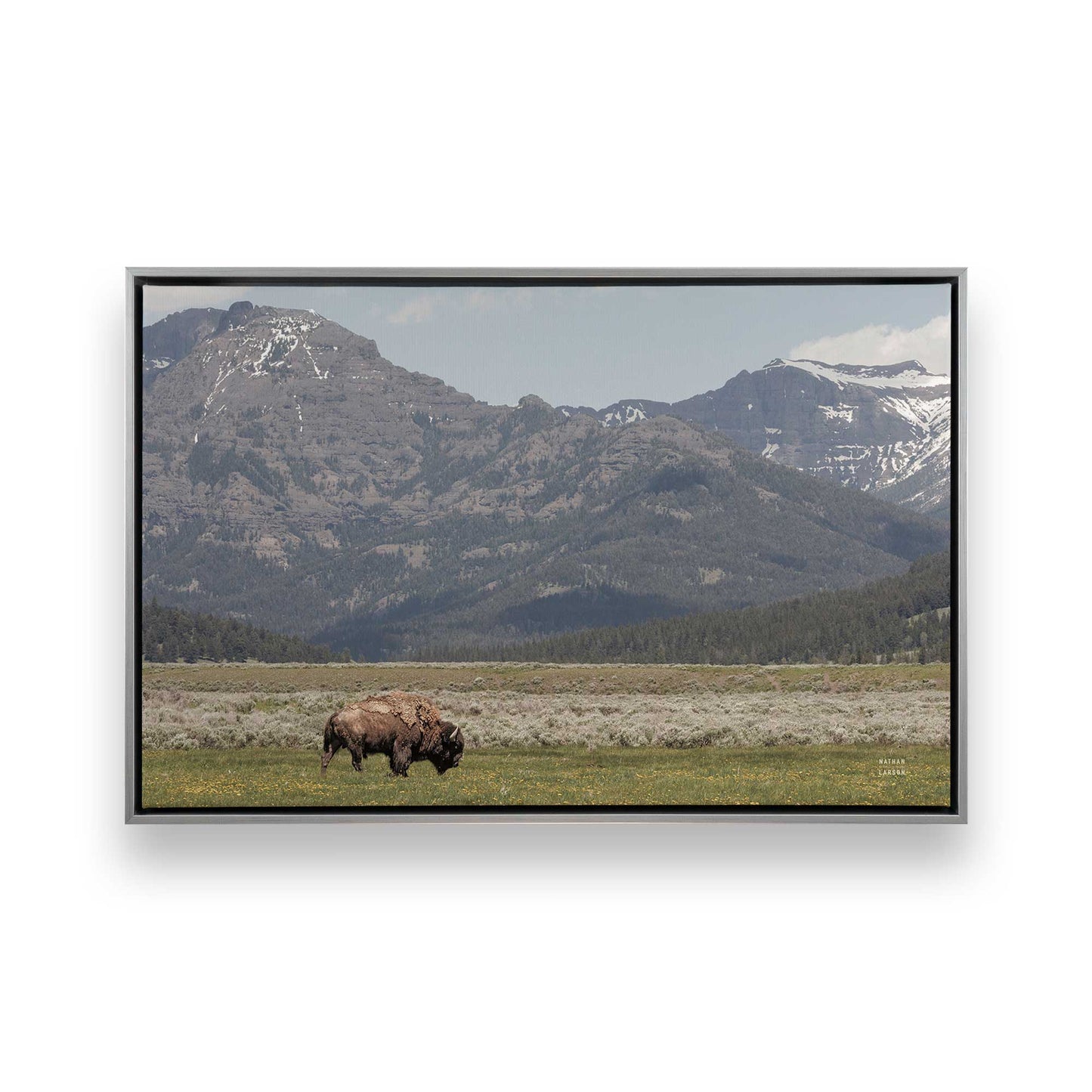 [Color:Polished Chrome], Picture of art in a Polished Chrome frame