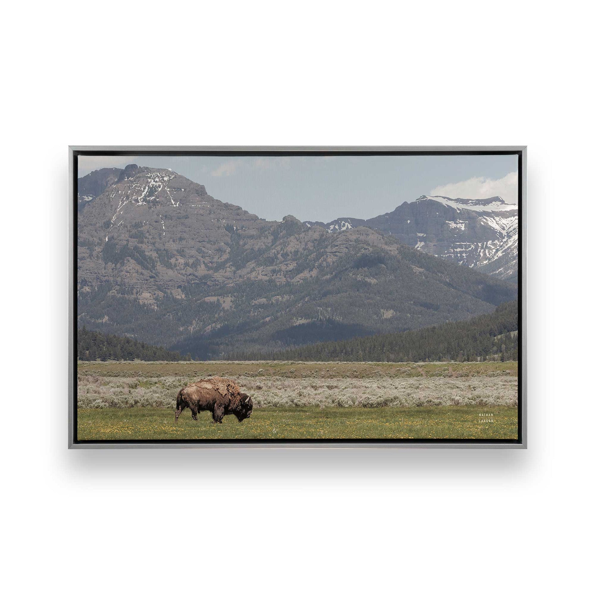 [Color:Polished Chrome], Picture of art in a Polished Chrome frame