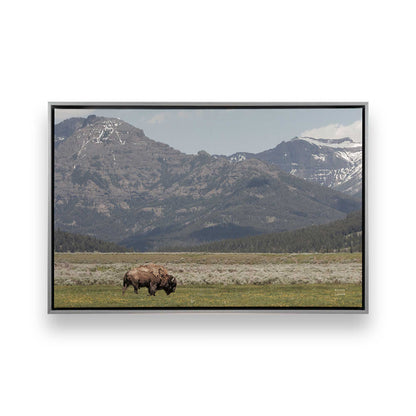 [Color:Polished Chrome], Picture of art in a Polished Chrome frame