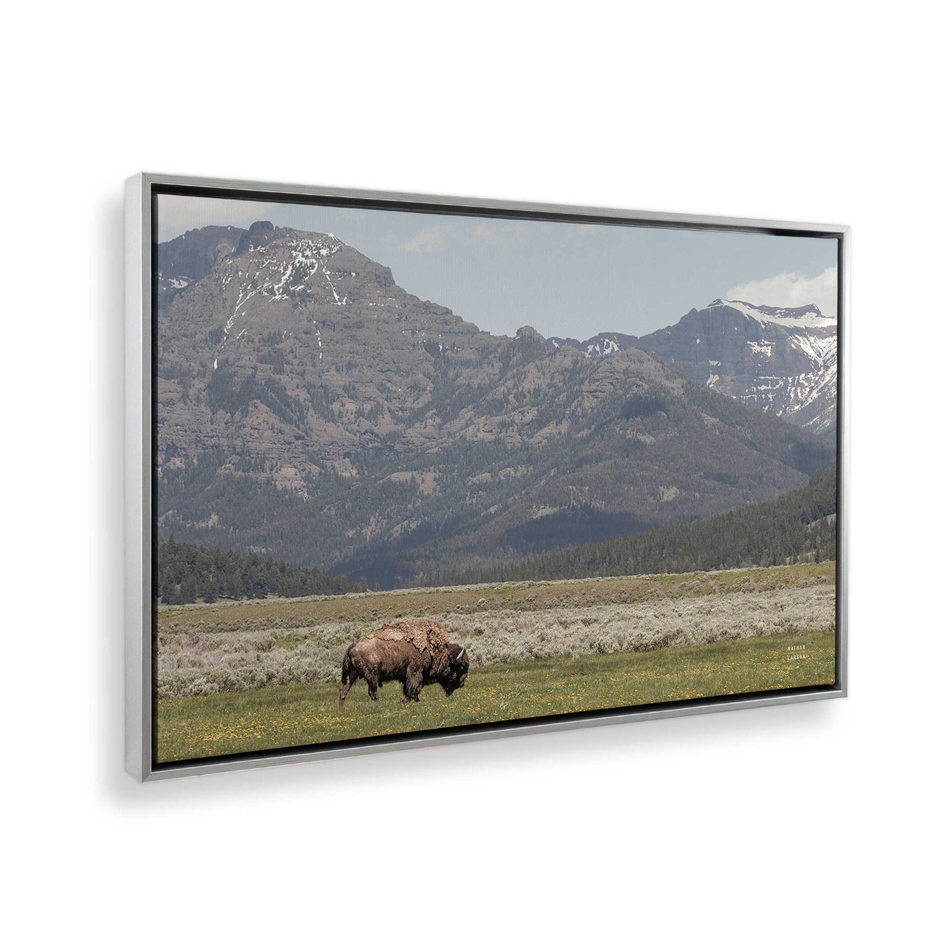 [Color:Polished Chrome], Picture of the corner of the art