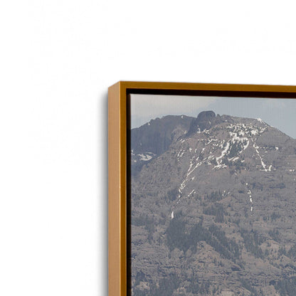 [Color:Polished Gold], Picture of art in a Polished Gold frame at an angle
