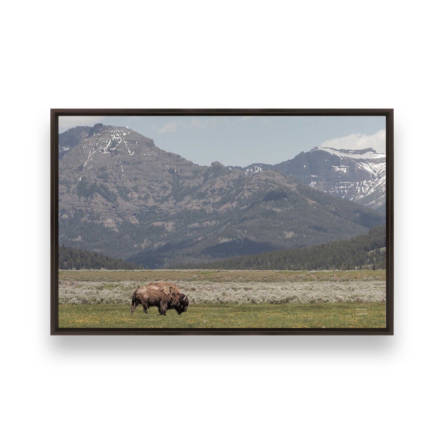 [Color:Espresso], Picture of art in a Espresso frame