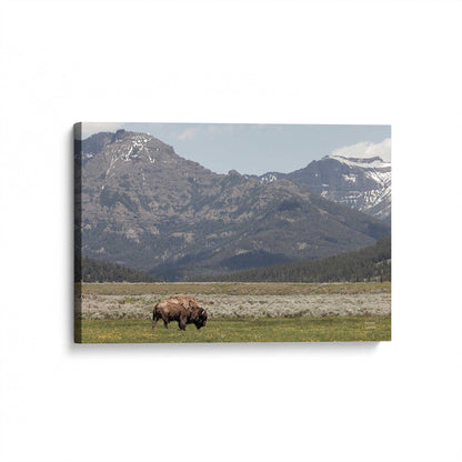 [Color:Stretched Canvas], Picture of art at an angle