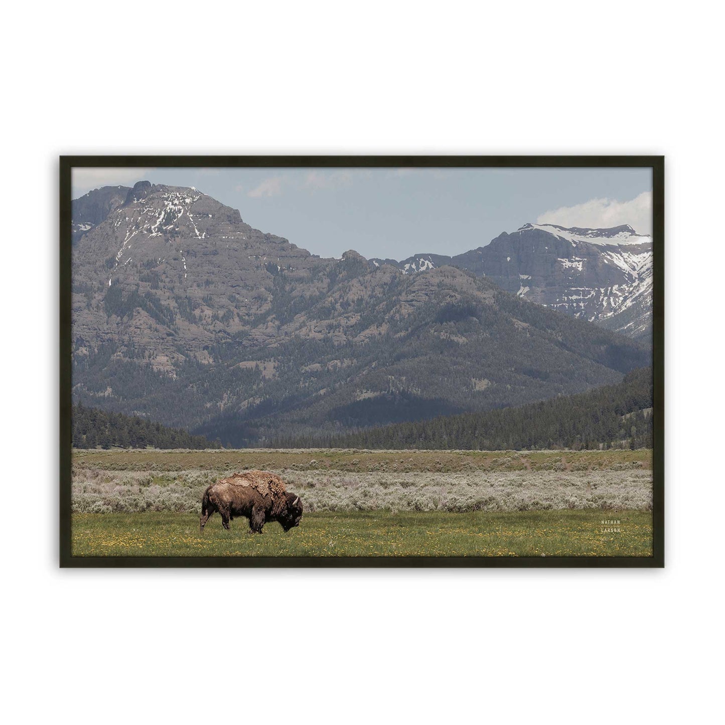 [Color:Satin Black], Front of the art