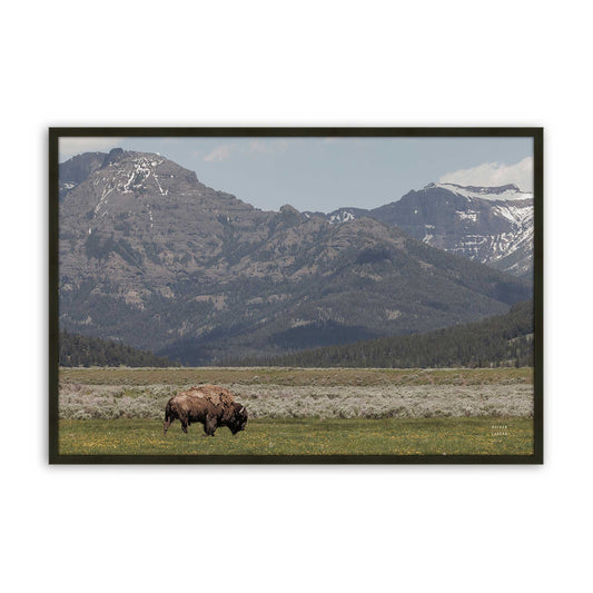 [Color:Satin Black], Front of the art