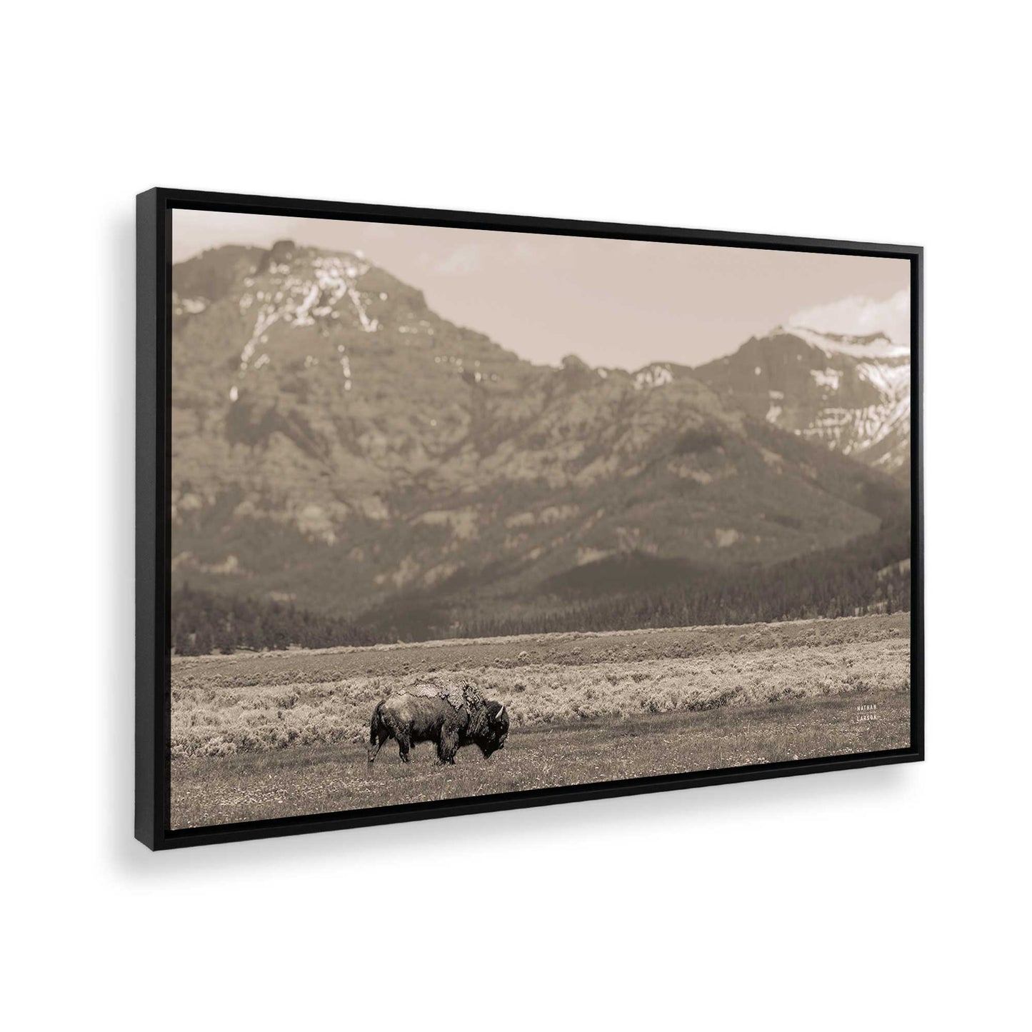 [Color:Satin Black], Picture of the corner of the art