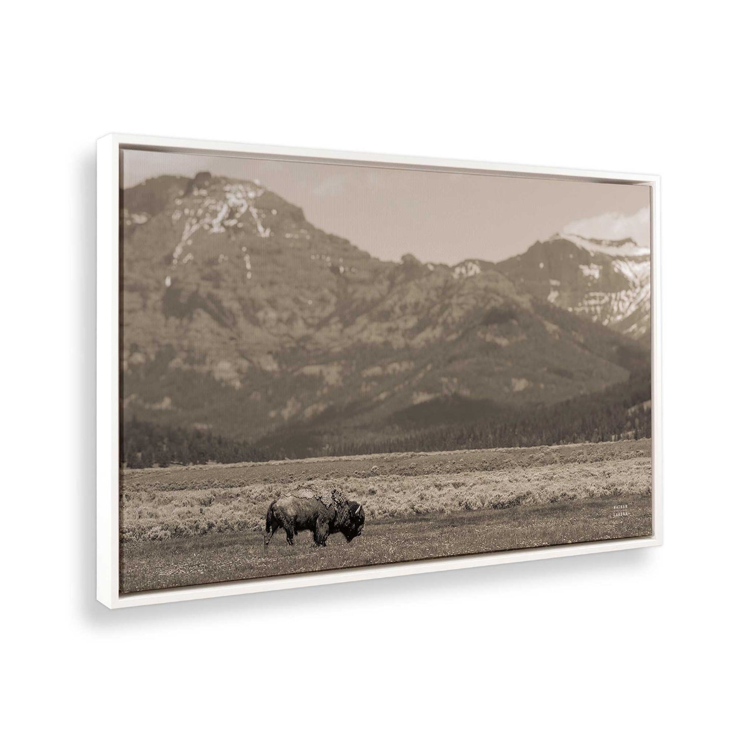 [Color:Opaque White], Picture of the corner of the art