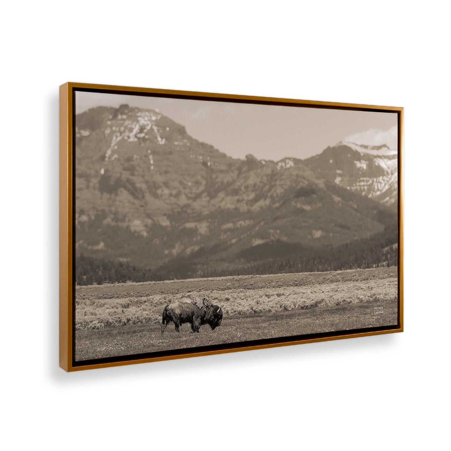 [Color:Polished Gold], Picture of the corner of the art