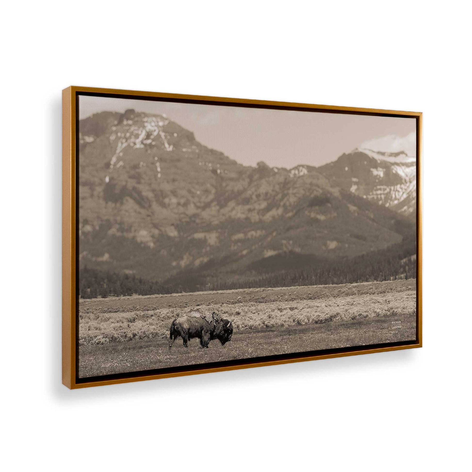 [Color:Polished Gold], Picture of the corner of the art