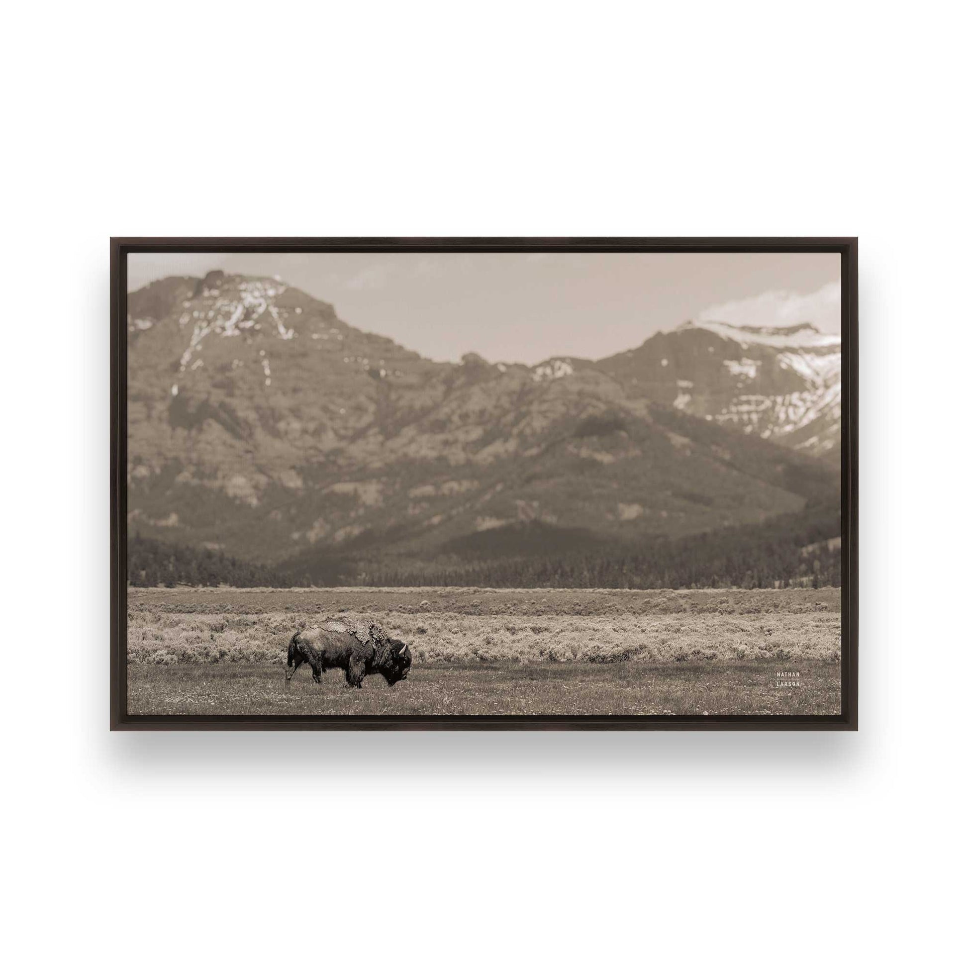 [Color:Espresso], Picture of art in a Espresso frame