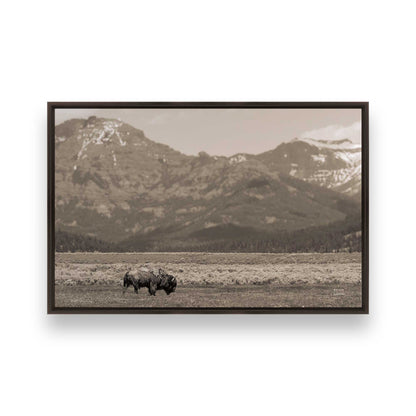 [Color:Espresso], Picture of art in a Espresso frame