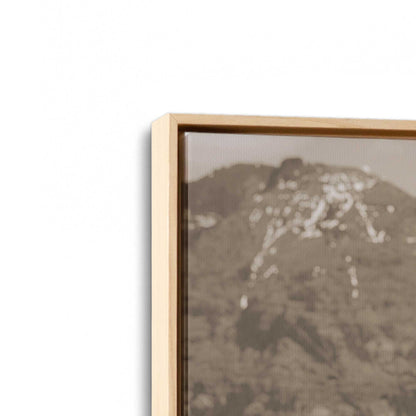 [Color:American Maple], Picture of art in a American Maple frame at an angle