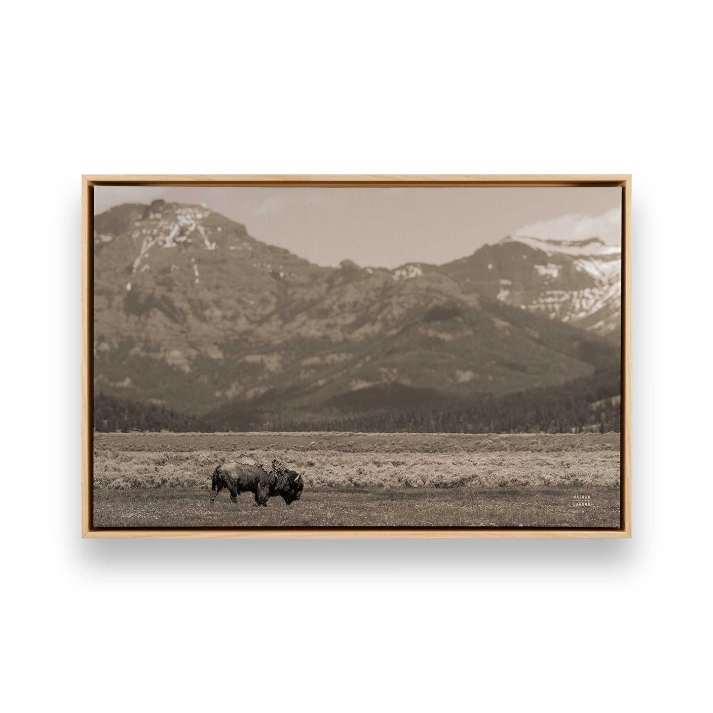 [Color:American Maple], Picture of art in a American Maple frame