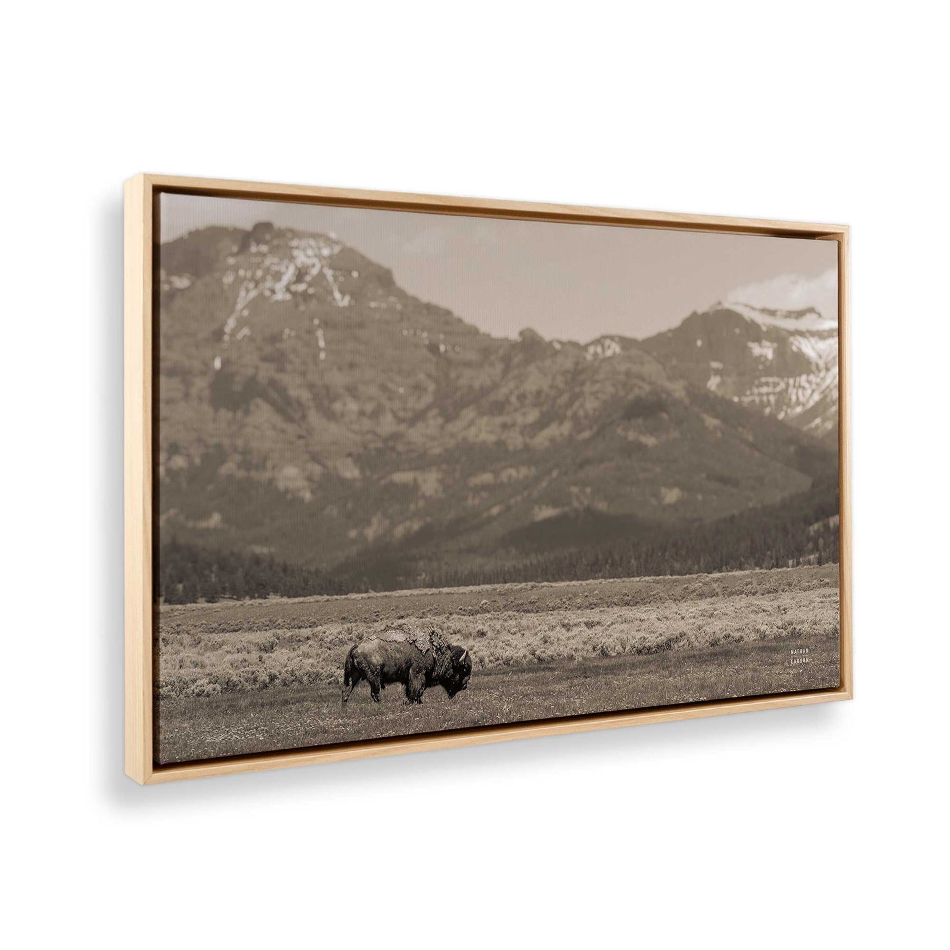 [Color:American Maple], Picture of the corner of the art