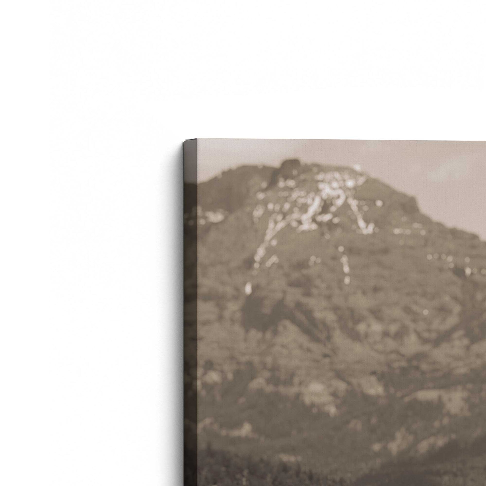 [Color:Stretched Canvas], Picture of the corner of the art