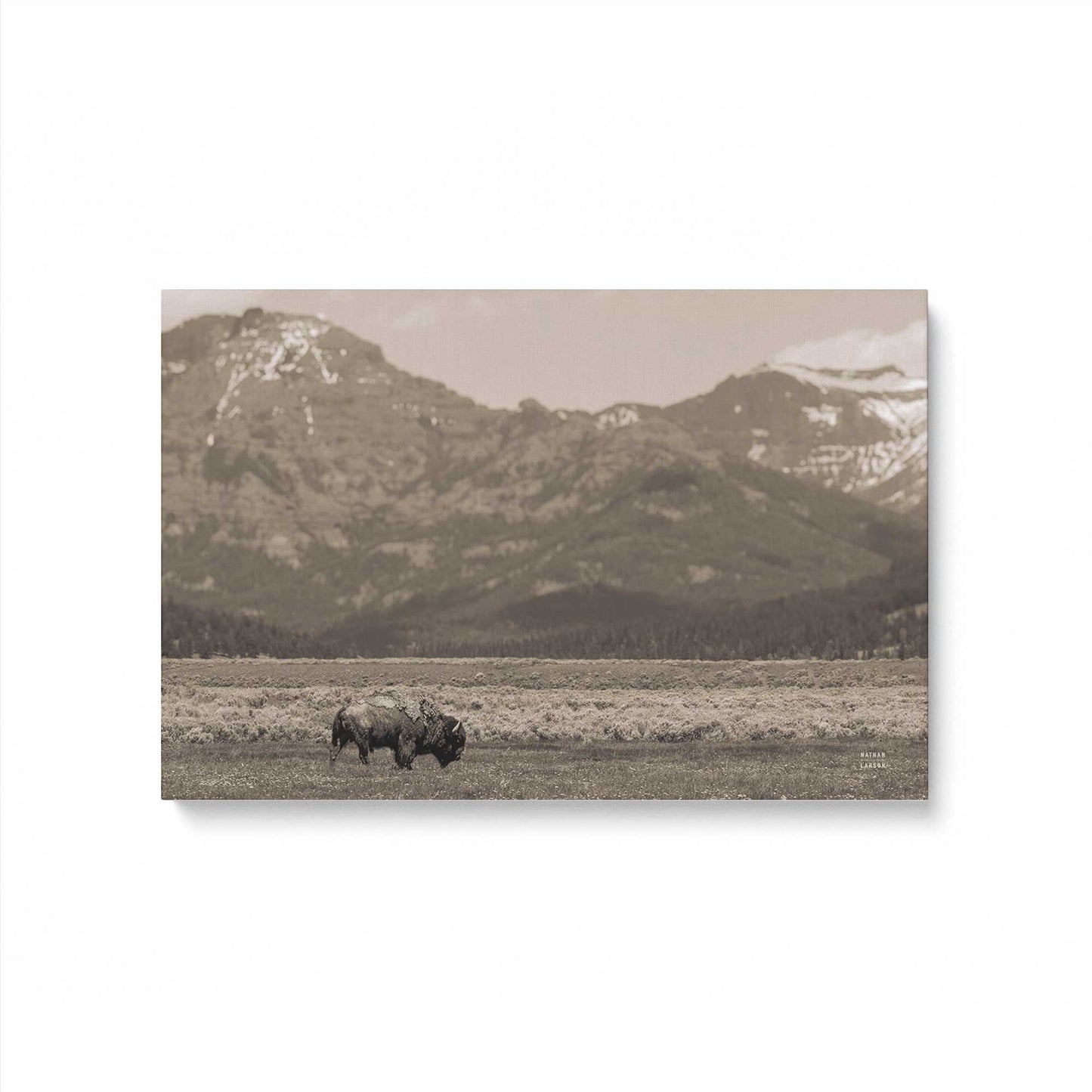 [Color:Stretched Canvas], Picture of art