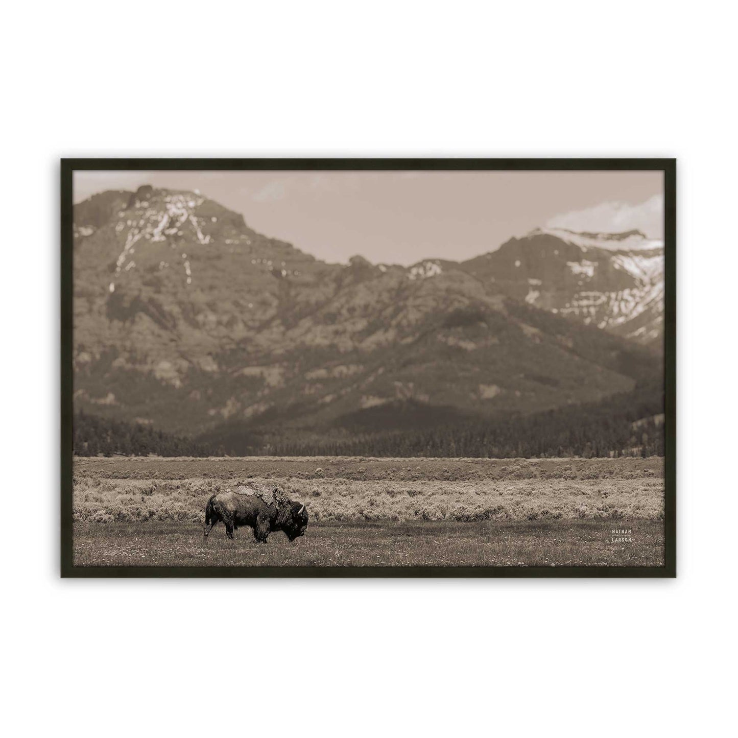 [Color:Satin Black], Picture of art in a Satin Black frame