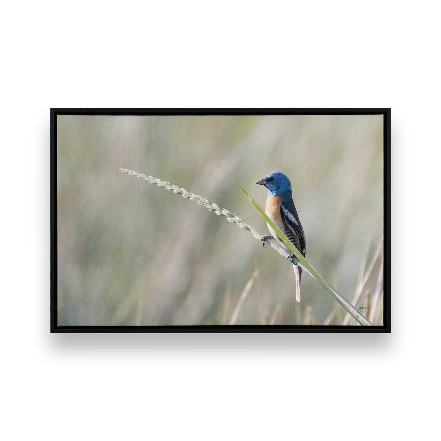 [Color:Satin Black], Front of the art