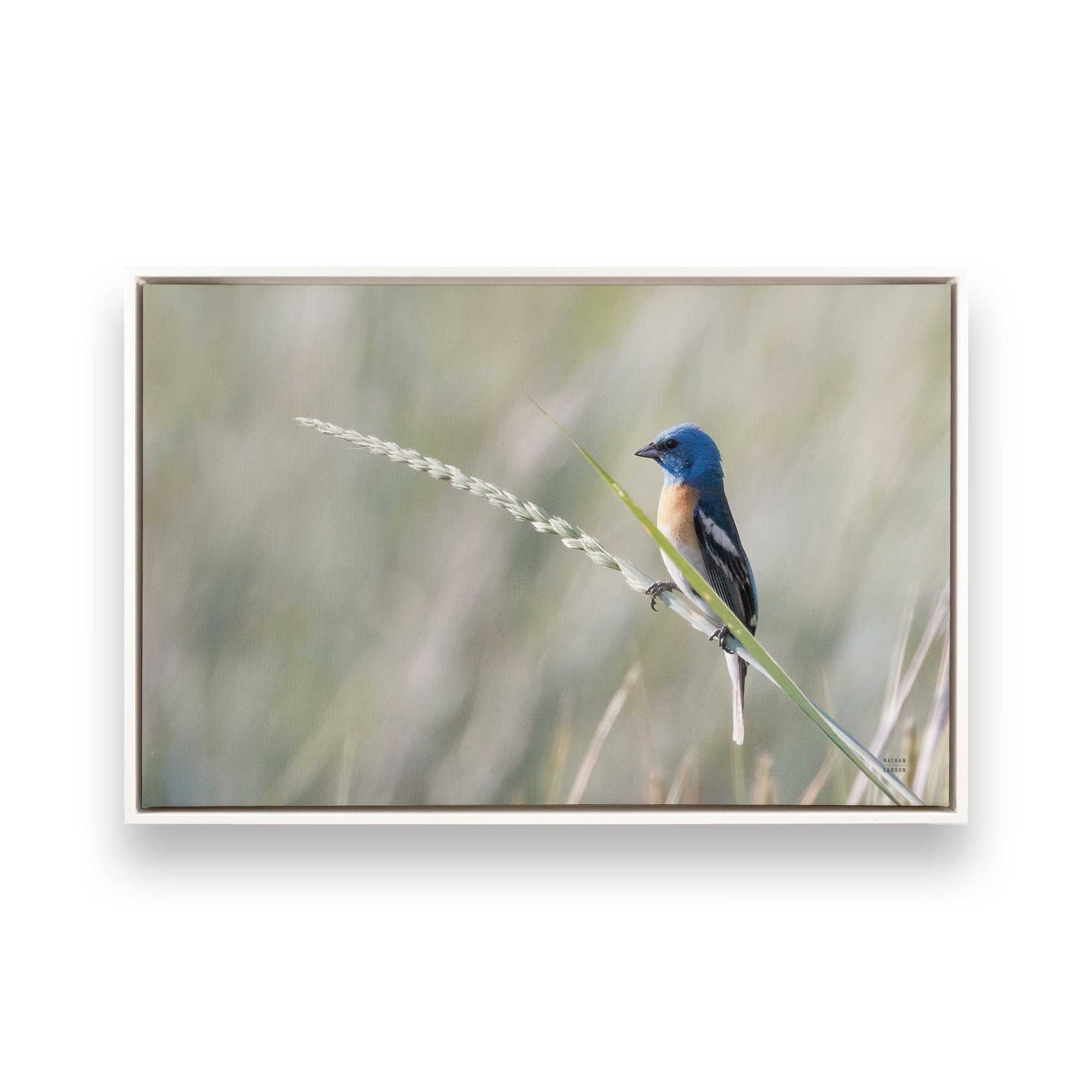 [Color:Opaque White], Picture of art in a White frame