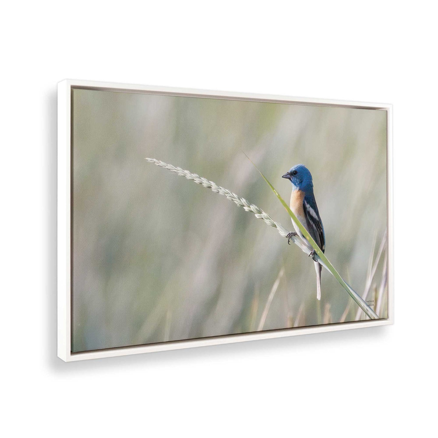 [Color:Opaque White], Picture of the corner of the art